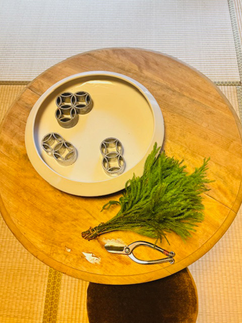 日陰（ヒカゲ）